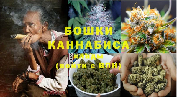 шишки Балабаново