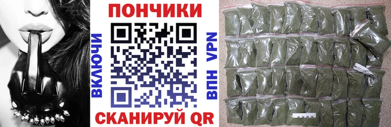 Шишки марихуана гибрид Жердевка